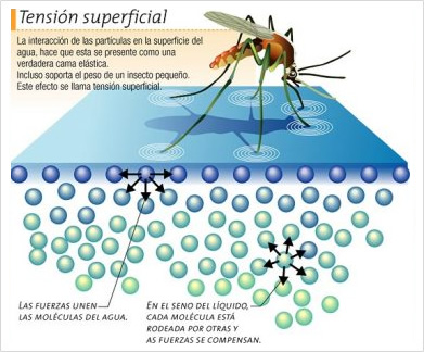DUREKOL pinturas